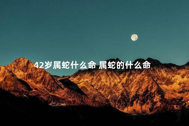 42岁属蛇什么命 属蛇的什么命